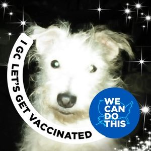 Meet your Posher, Vicki